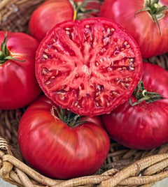 Pink Ponderosa Heirloom Tomato Seeds - Large Tomato