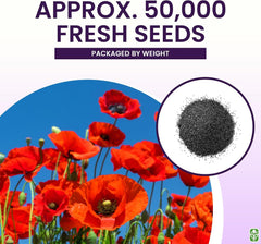 Red Flanders Poppy Seeds for Planting - 50,000+ Fresh Flower Seeds
