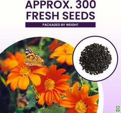 Mexican Sunflower Seeds - Attracts Bees and Butterflies