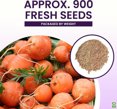 Round Baby Parisian Carrots Seeds - 900 Seeds
