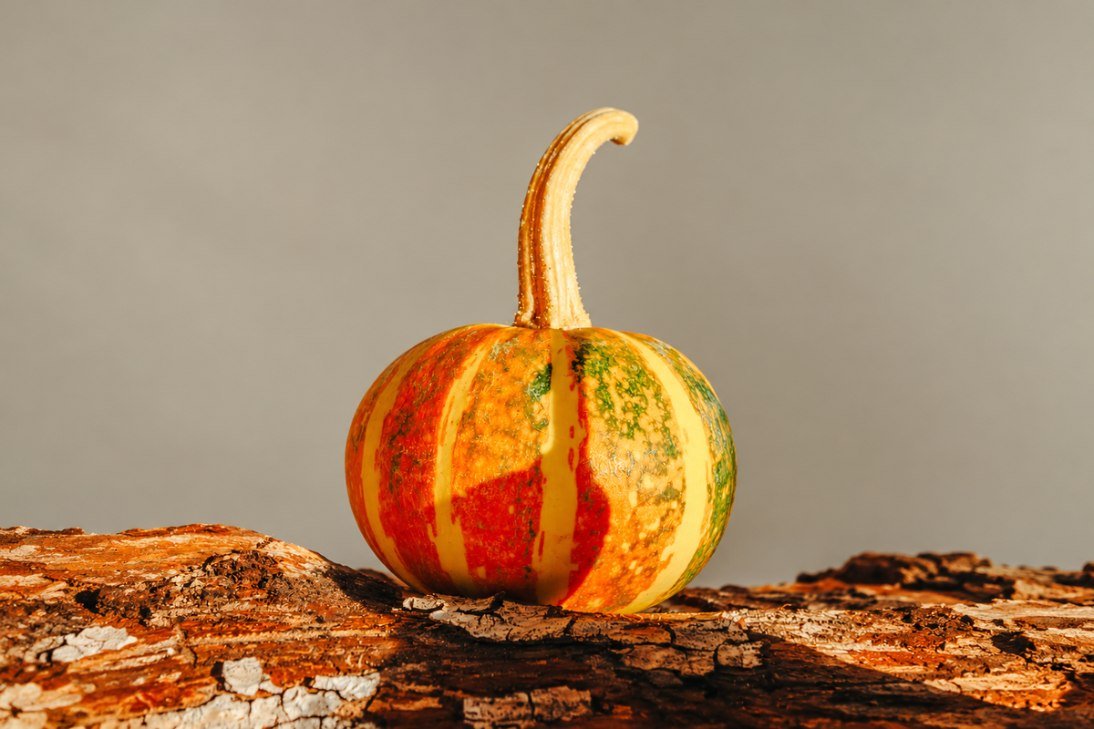 Jack Be Little Pumpkin